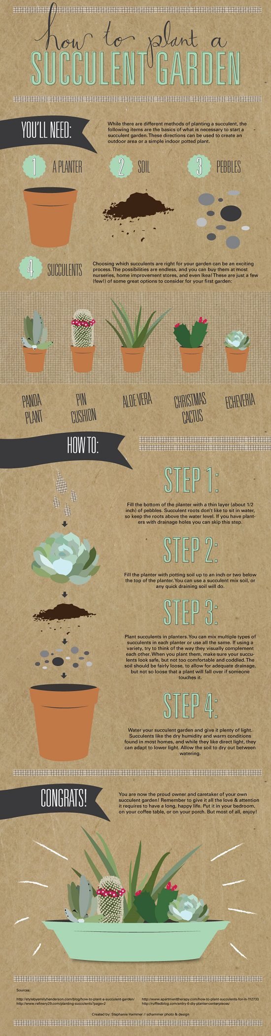 Everything About Growing Succulents in 8 Infographics