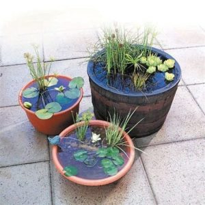 24 DIY Container Water Garden Ideas For Container Gardeners