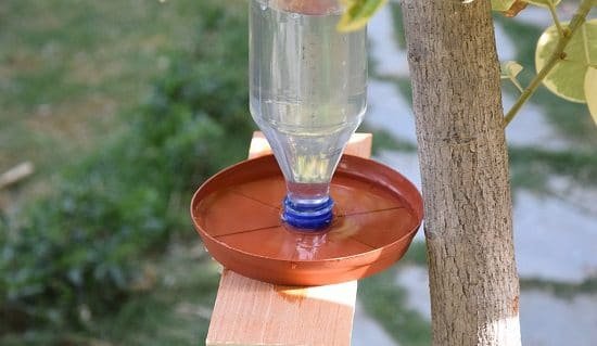 Bird water bowl