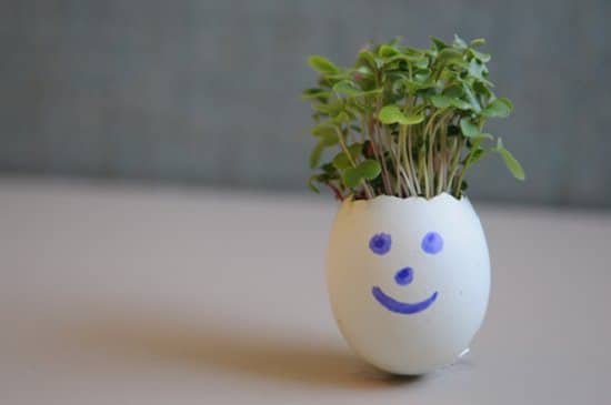 DIY Eggshell Ideas for easter gifting