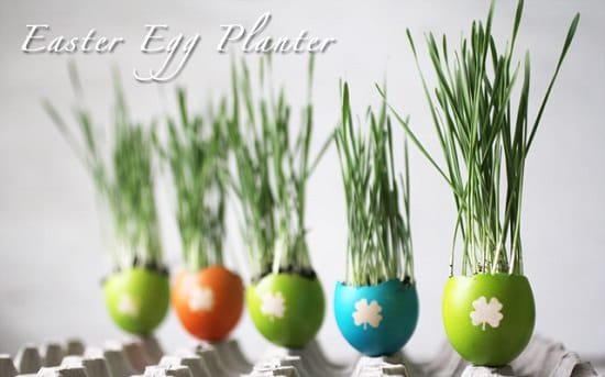 DIY Eggshell Ideas for planting