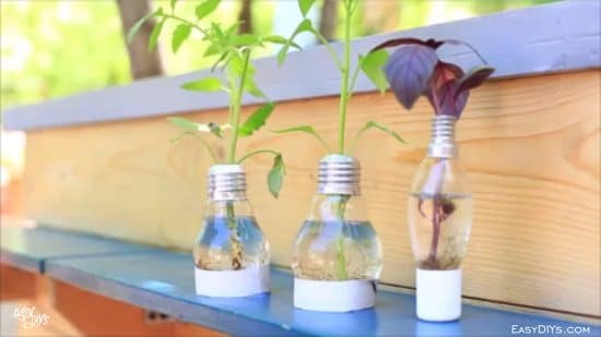 DIY Light Bulb Planter