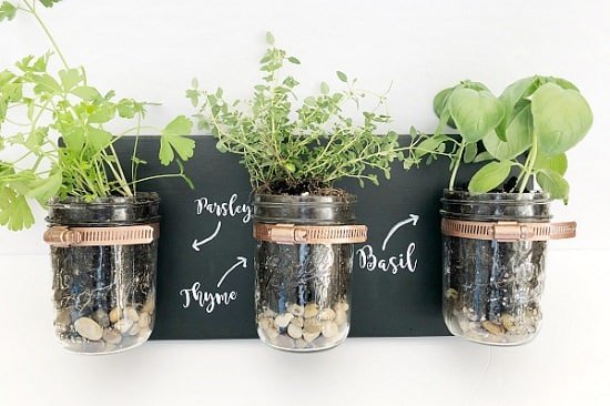 No-Money Home Decor Ideas With Indoor Plants 2