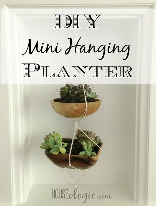 Overly Cute DIY Mini Planters for Succulents to make them stand out