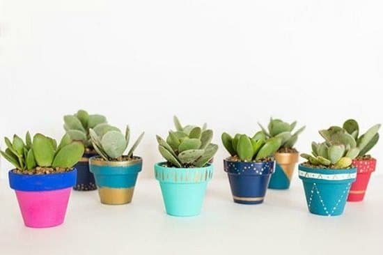 Overly Cute DIY Mini Planters for Succulents that are cool 