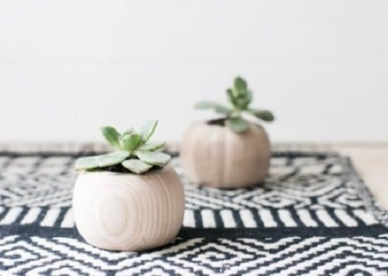 Overly Cute DIY Mini Planters for Succulents for indoor garden