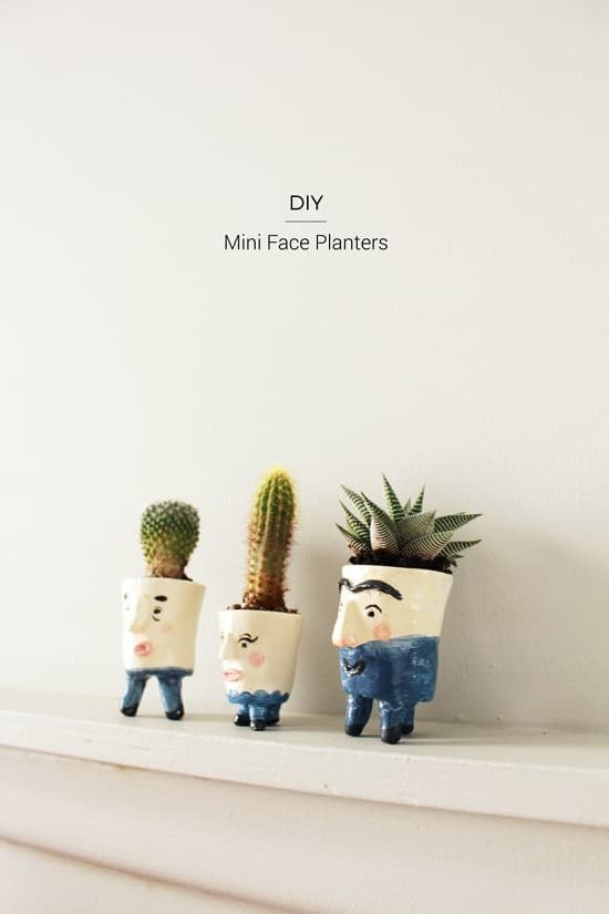 Overly Cute DIY Mini Planters for Succulents that you can use
