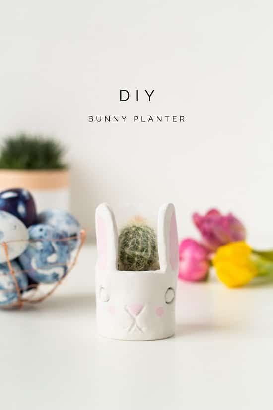 Overly Cute DIY Mini Planters for Succulents everyone can try