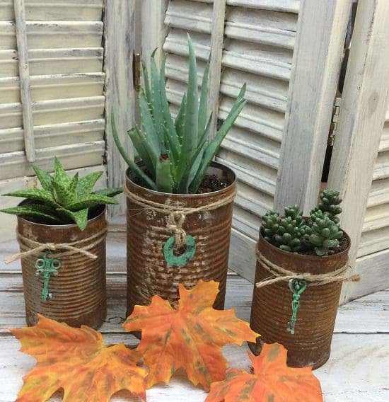 Rusted Can Planters