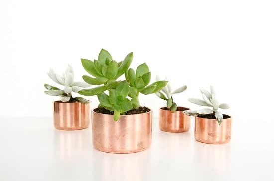 Mini Copper Planters