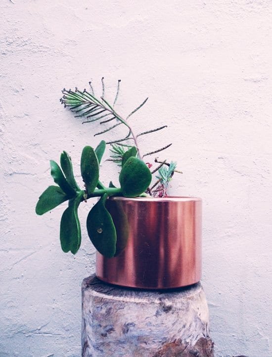 Upcycled Copper Planters