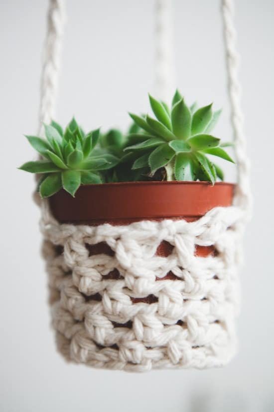 Cute DIY Plant Hanger