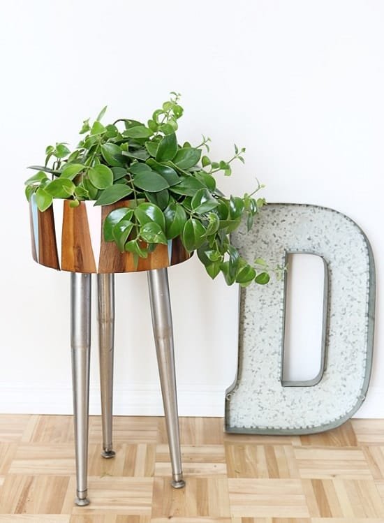 Wooden Bowl Modern Plant Stand