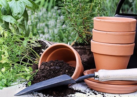 These 110+ Container Gardening Tips are all you need to grow a successful container garden!