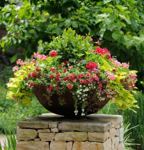 100 Container Gardening Tips You Ever Need To Know | Page 2 of 2 ...