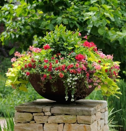 110+ Container Gardening Tips You Ever Need To Know | Page 2 of 2 ...