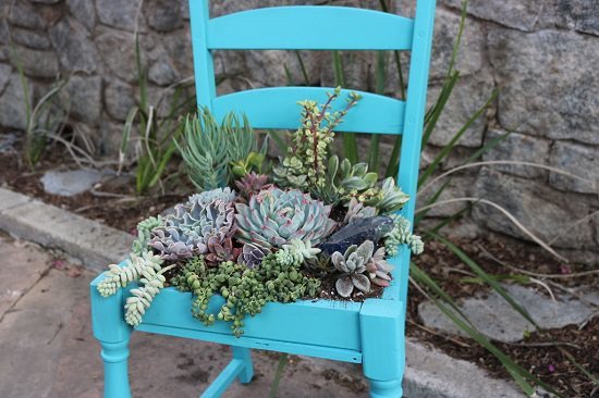 Succulent Chair porch planter ideas