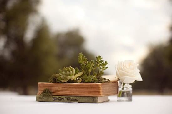 DIY Book Planter with Succulents and Fabric Flowers