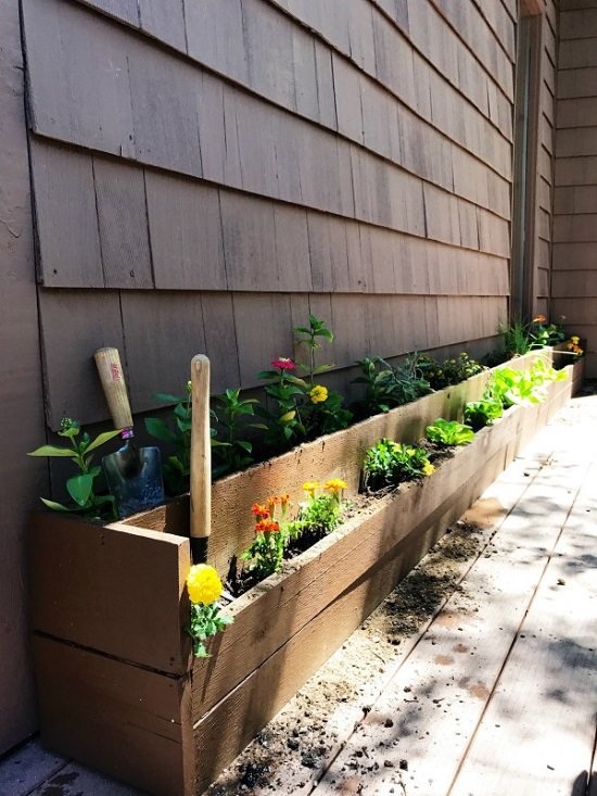 raised garden bed for growing herbs and vegetables