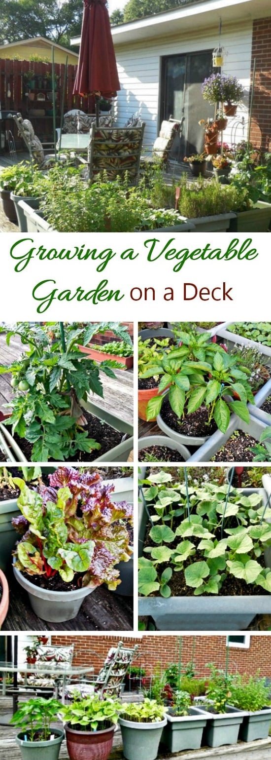 Deck Vegetable Garden Ideas 2