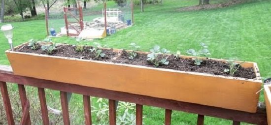 Deck Vegetable Garden Ideas 3