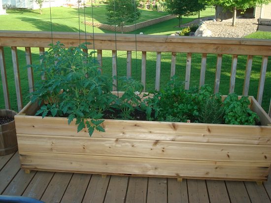 deck vegetable garden