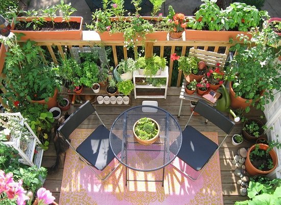 Deck Vegetable Garden Ideas