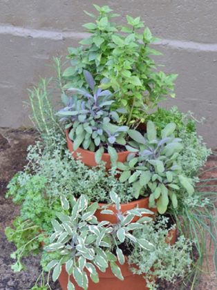 12 Space Saver DIY Herb Tower Ideas To Grow A Lot In Less Space!