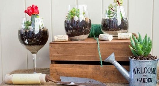 Things to Do with Wine Glasses