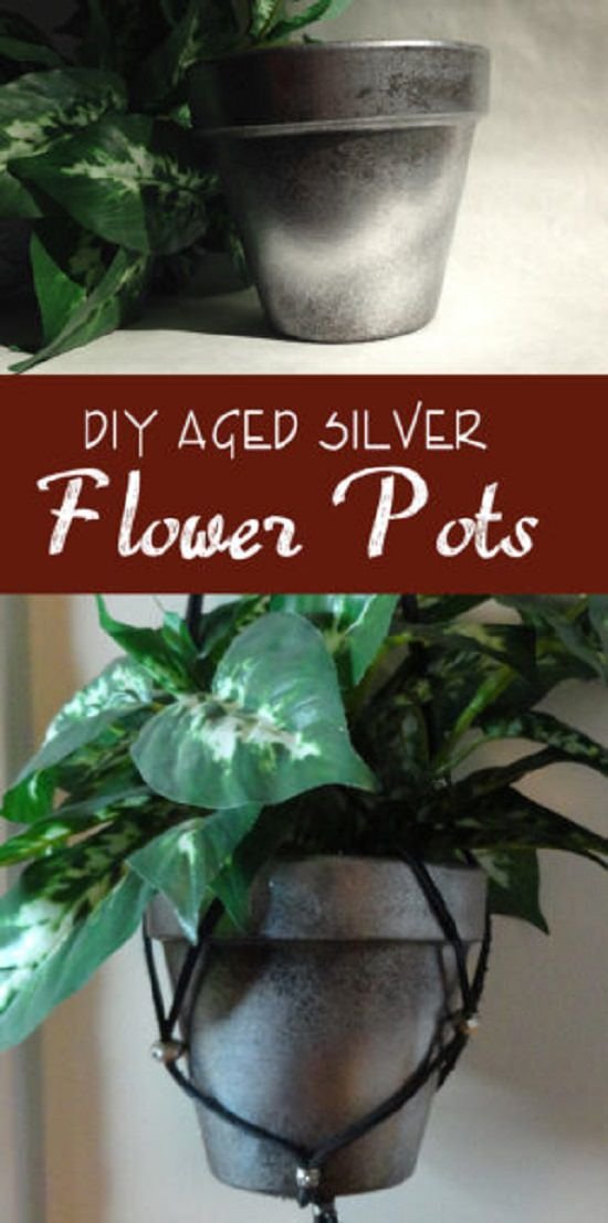 Some of the most amazing DIY Silver Planter Ideas