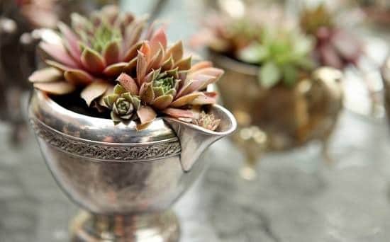 DIY Silver Planter Ideas you might not be aware of
