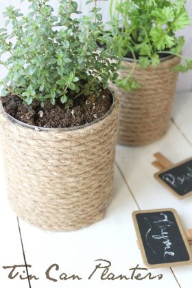 Growing Herbs In Tin Cans | 14 DIY Tin Can Herb Garden Ideas | Balcony ...