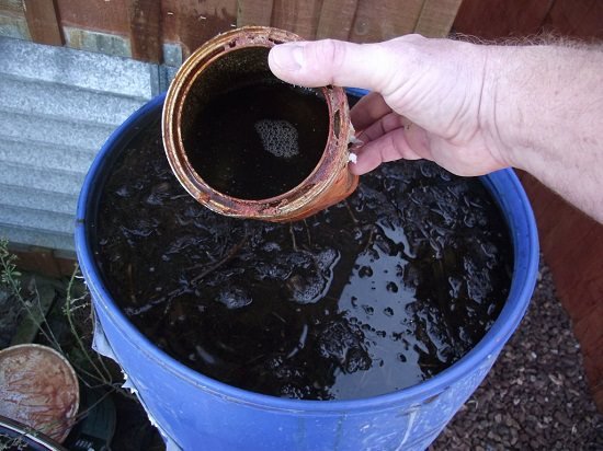 Homemade Liquid Fertilizer that you can make right at your home