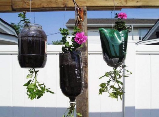 Recycled Soda Bottle Upside Down Planters