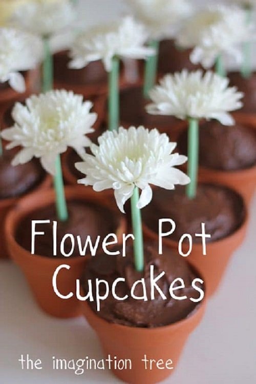 Terracotta Pot Cupcakes