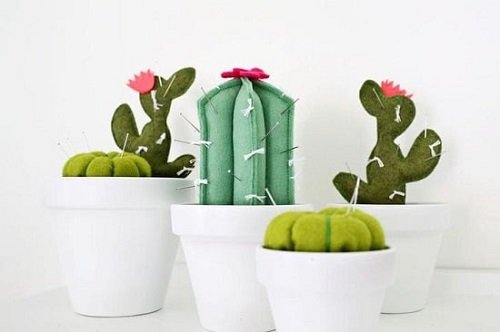 Cactus Pincushion in terracotta pot 