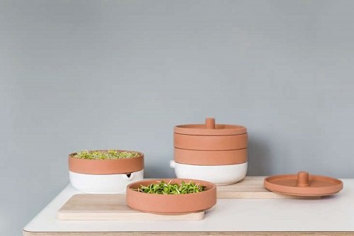 Terracotta Sprouter from IKEA