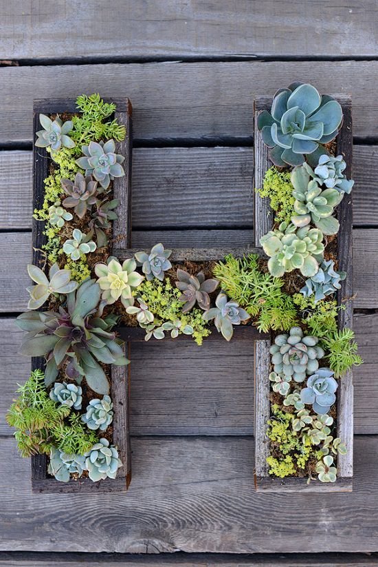 DIY Indoor Plant Wall Projects 7