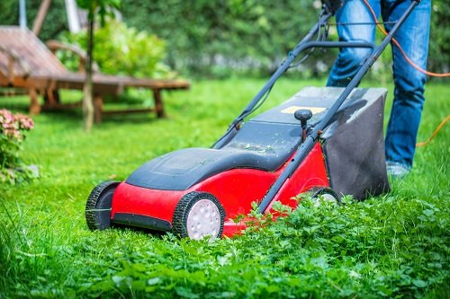 Lawn Care Tips 3