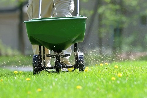 Lawn Care Tips 9