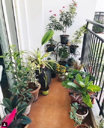 47 Instagram Balcony Gardens For Every Balcony Gardener | Balcony ...