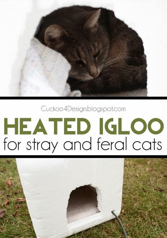 DIY Outdoor Cat House Ideas 4