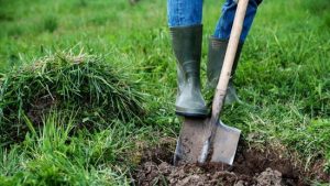 8 Exercises from Gardening Chores to Keep You Fit | Balcony Garden Web