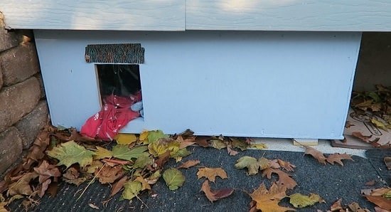 DIY Outdoor Cat House Ideas 6