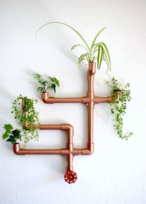 DIY Indoor Plant Wall Projects 10