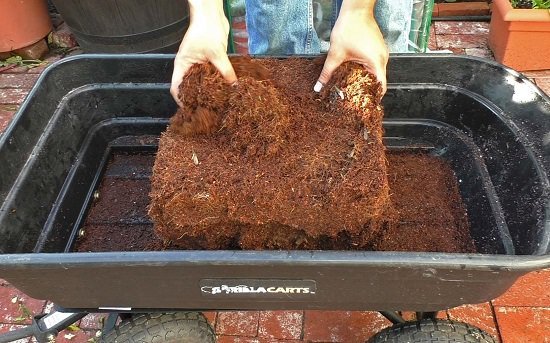 How to Use Coco Peat