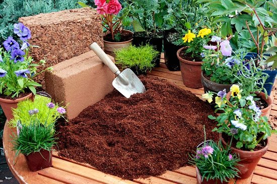 How to Use Coco Peat in Garden