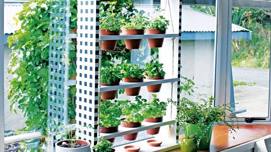 vertical garden projects