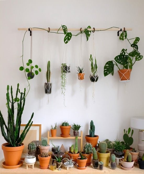 DIY Indoor Plant Wall Projects 5