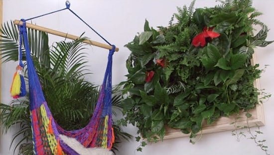 DIY Indoor Plant Wall Projects 6